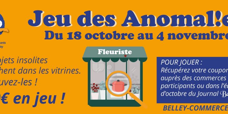 Jeu des anomalies de vitrine